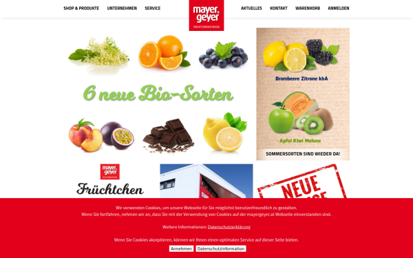 www.mayergeyer.at