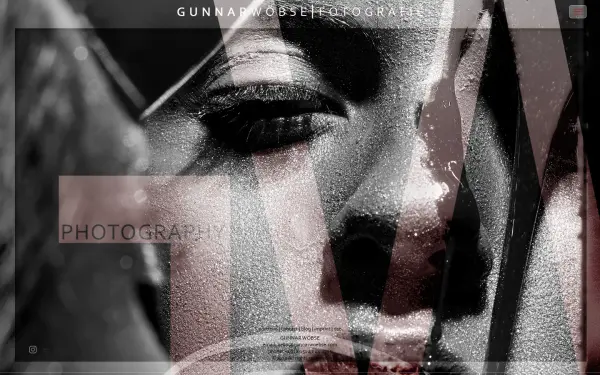 www.gunnarwoebse.com