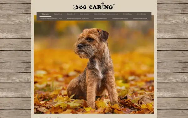 www.dogcaring.de