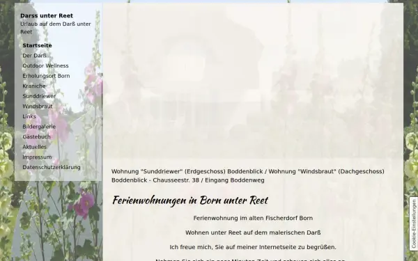 www.darss-unter-reet.de