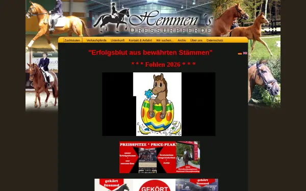 www.hemmens-dressurpferde.de