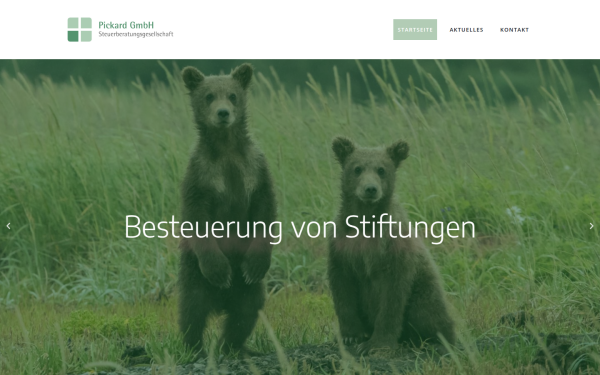 vereinsbesteuerung.de