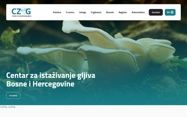 www.czig.ba