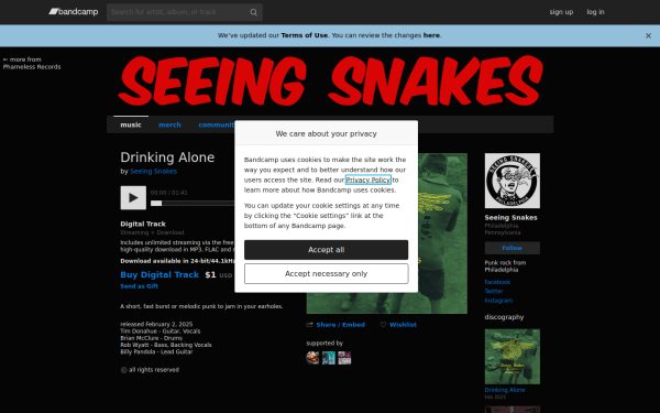 seeingsnakes.bandcamp.com