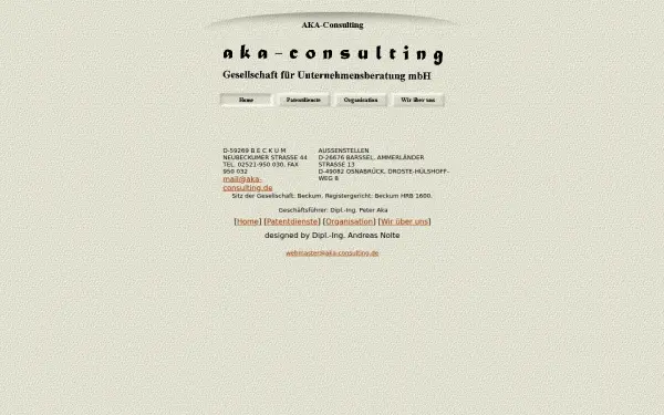aka-consulting.de