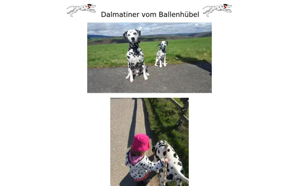 www.dalmatinervomballenhuebel.de