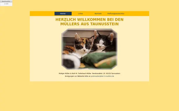 die-5-muellers.de