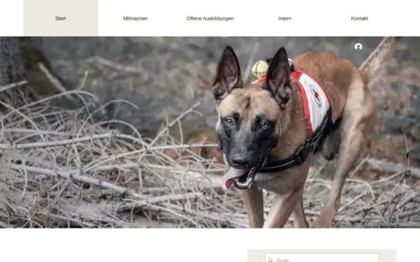 www.drk-rettungshund-ds.de