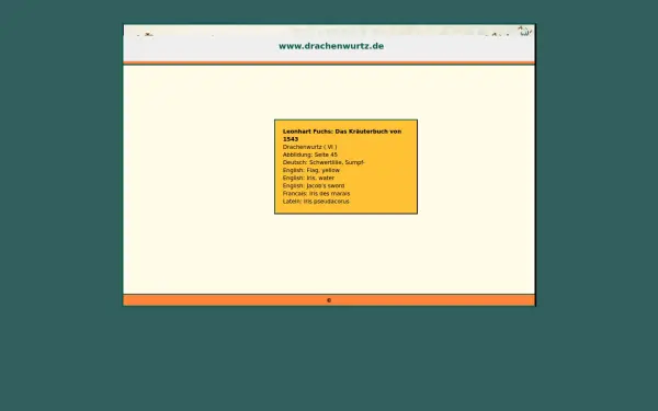 drachenwurtz.de