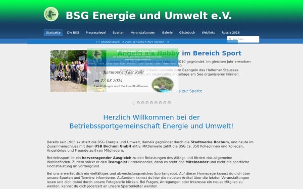 bsg-energie-umwelt.de