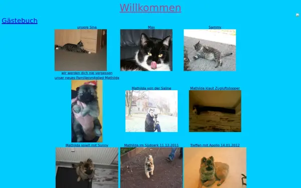 ankedirk.de