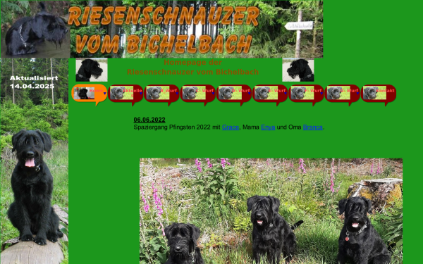 riesenschnauzer-vom-bichelbach.de