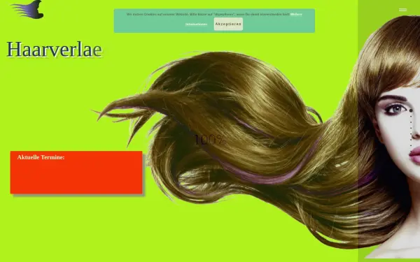 haarverlaengerung-mobil.de