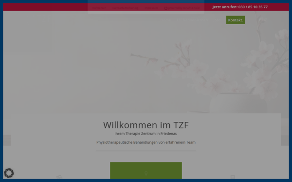 www.tzf-physio.de