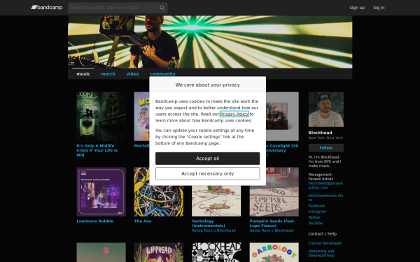 blockheadnyc.bandcamp.com