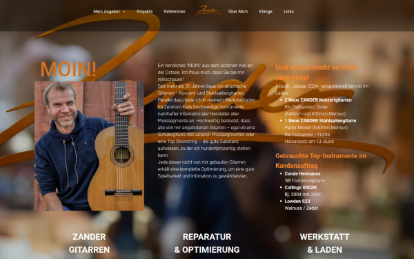 www.zandergitarren.de