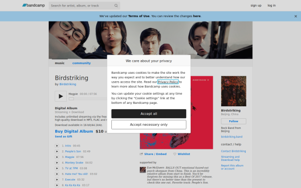 birdstriking-official.bandcamp.com