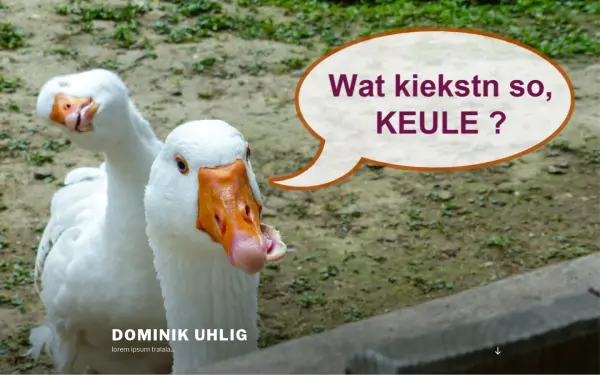 dominikuhlig.de