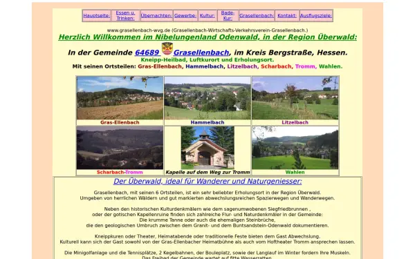 grasellenbach-wvg.de