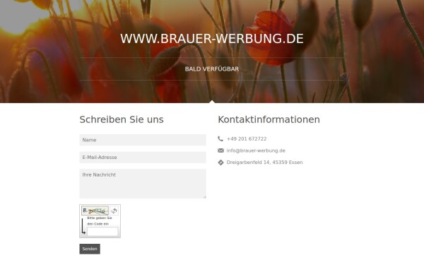 www.brauer-werbung.de
