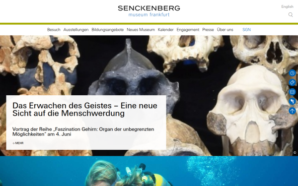 museumfrankfurt.senckenberg.de