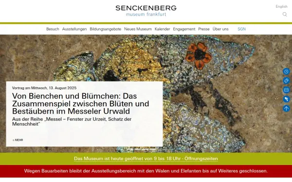 museumfrankfurt.senckenberg.de