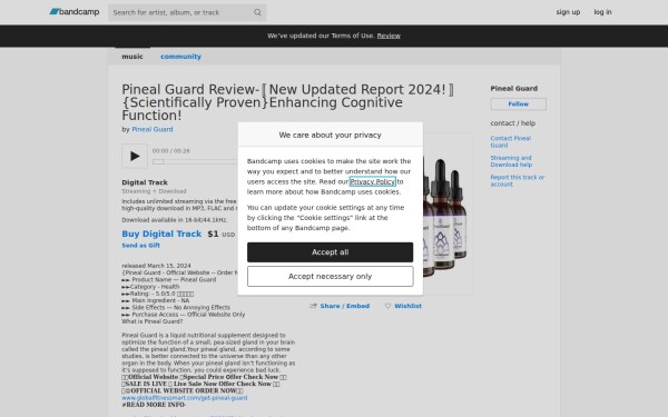 pinealguard1.bandcamp.com