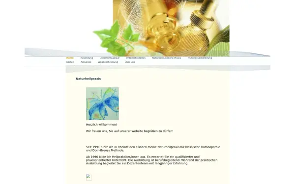 heilpraktikerschule-peter-brutschin.de