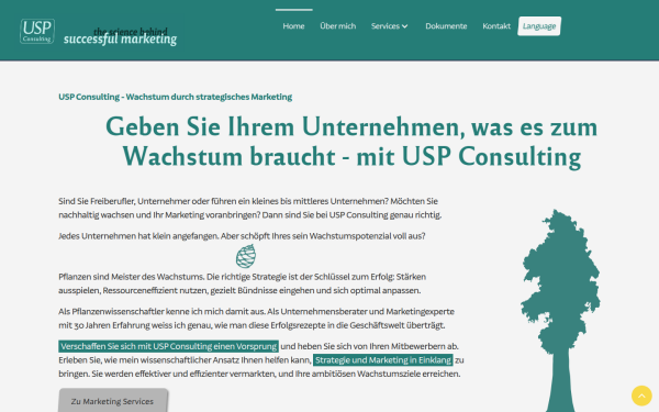 www.usp.consulting