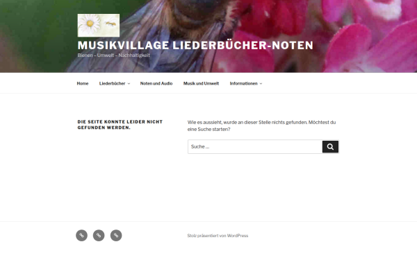 musik-village.de