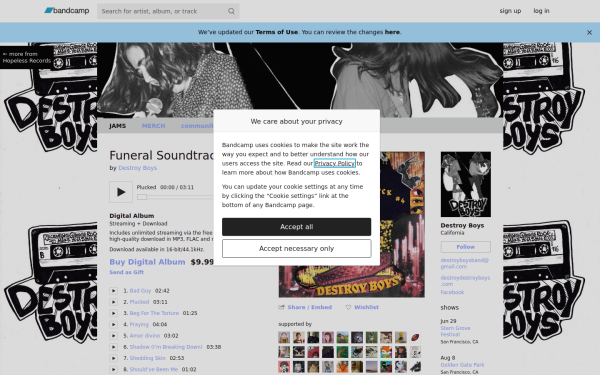 destroyboys.bandcamp.com