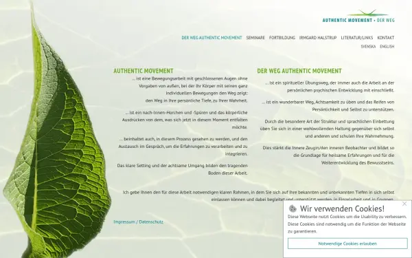 www.authentic-movement.de