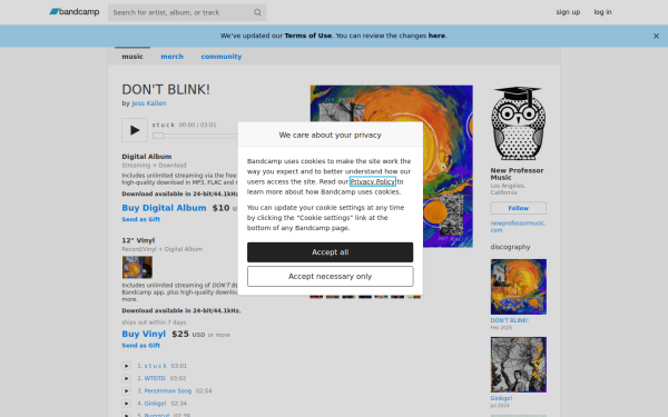 newprofessor.bandcamp.com