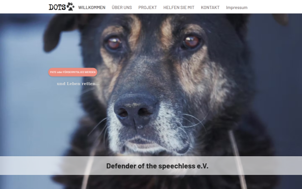 www.dots-tierschutz.com