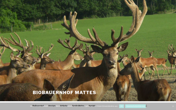 mattes.bio