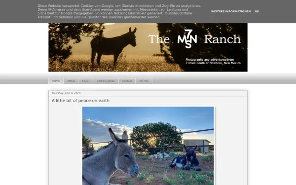 www.the7msnranch.com