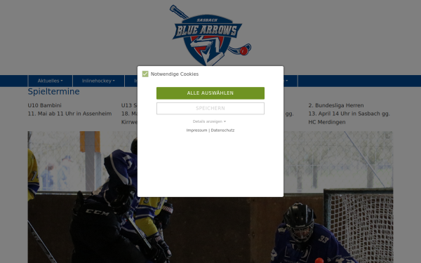 www.bluearrows.de