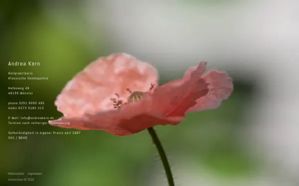 andreakern.de