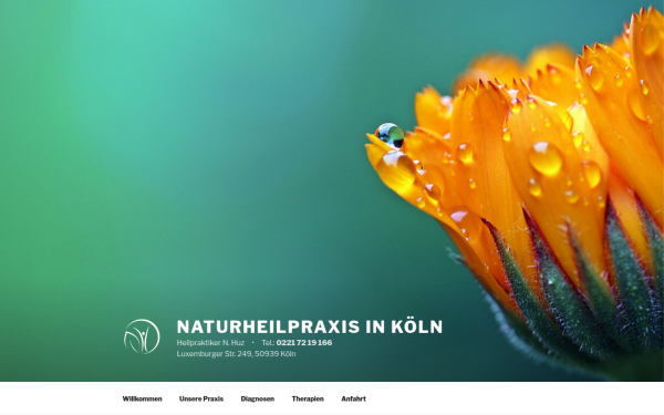 www.naturheilpraxis-huz.de