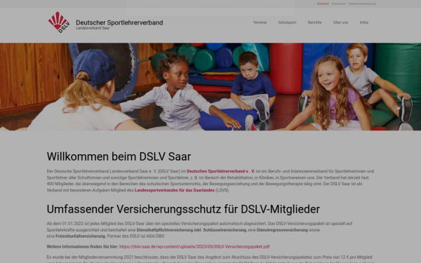 dslv-saar.de