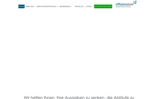 www.effizienzium.de