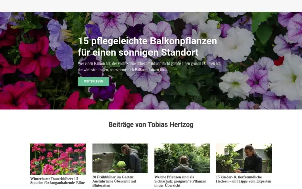 hausundgarten-profi.de