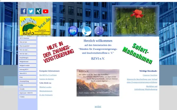bzvi.de