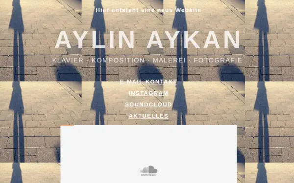 aylinaykan.de