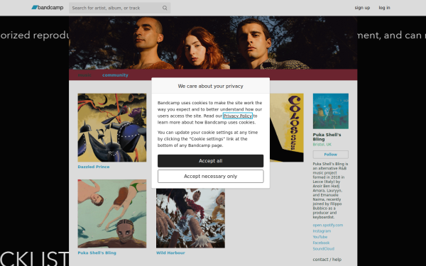 pukashellsbling.bandcamp.com