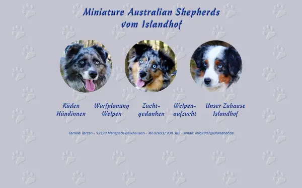 aussies-vom-islandhof.de