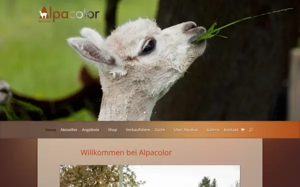 alpacolor.ch