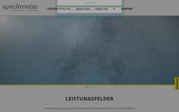 www.synchronize-consult.com