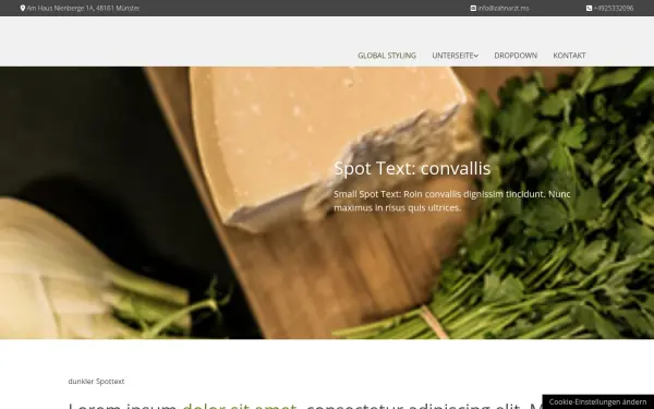 drwegenerundpartner.de