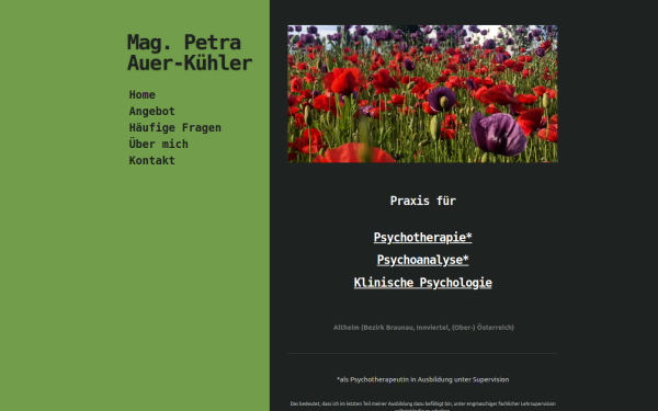 www.auer-kuehler.at
